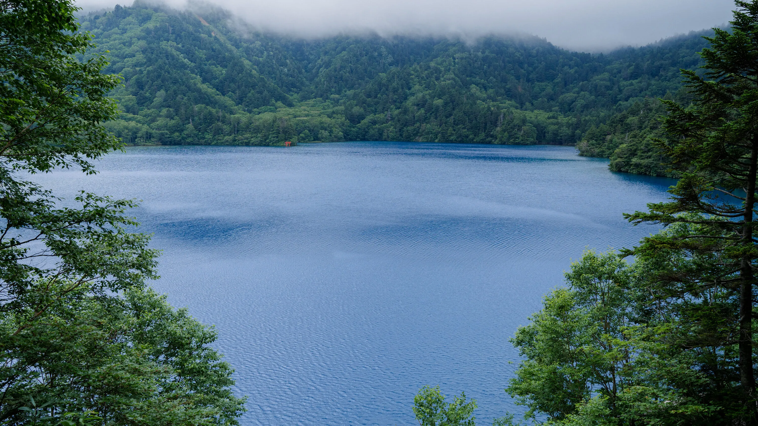 Photograph by Hiroki Anzai, July 2024