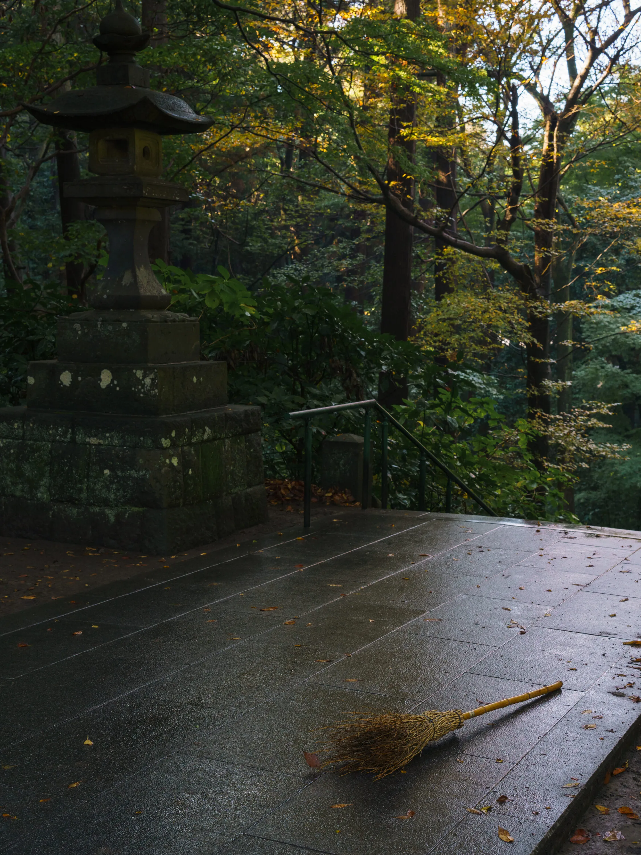 Photograph by Hiroki Anzai, November 2024