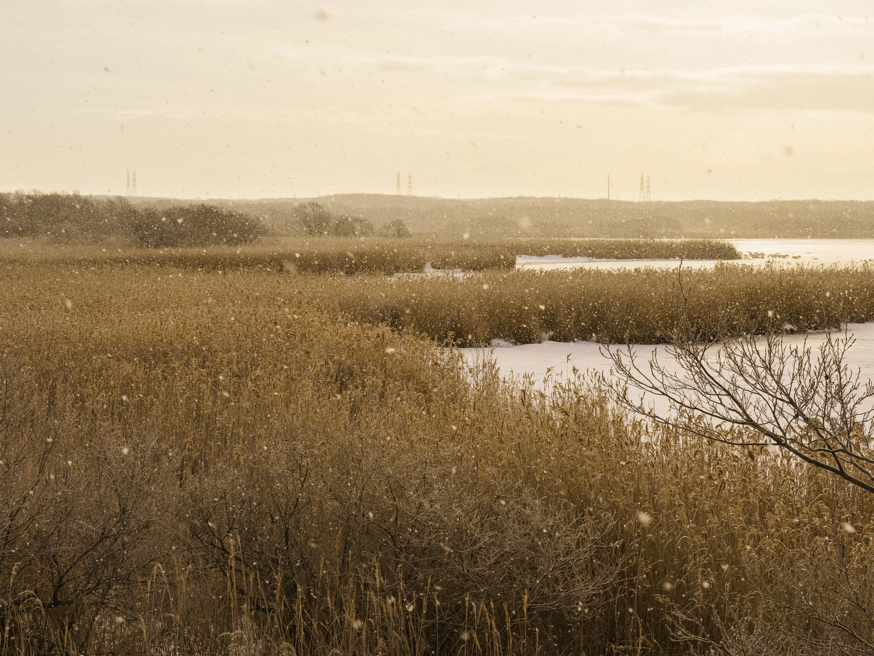 Photograph by Hiroki Anzai, February 2025
